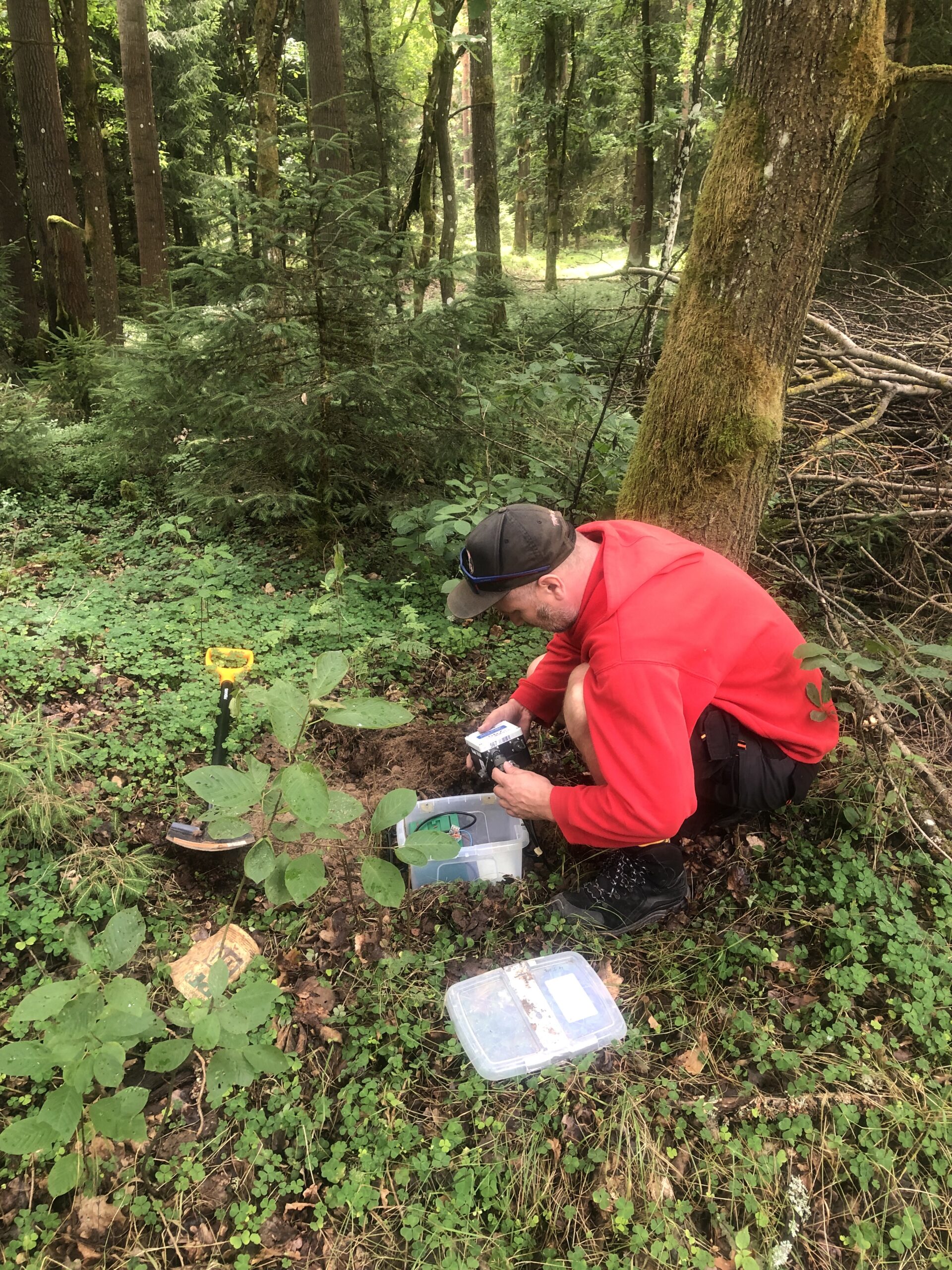 ROZSÁHLÝ SEISMICKÝ EXPERIMENT NA CHEBSKU: ELISE